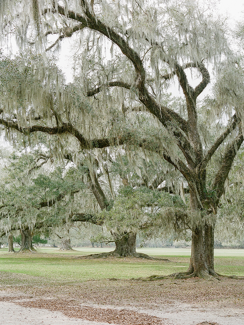 middleton place charleston wedding editorial_0001