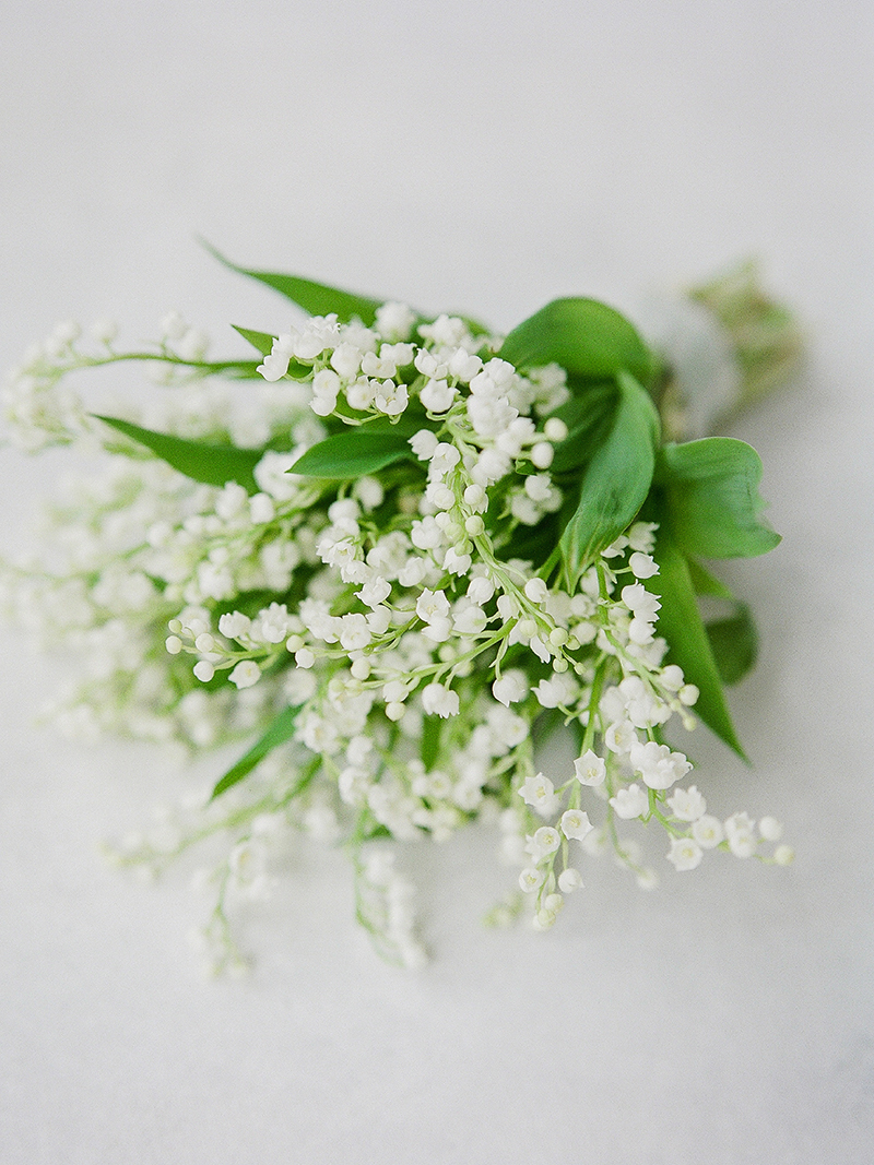 middleton place charleston wedding editorial_0005