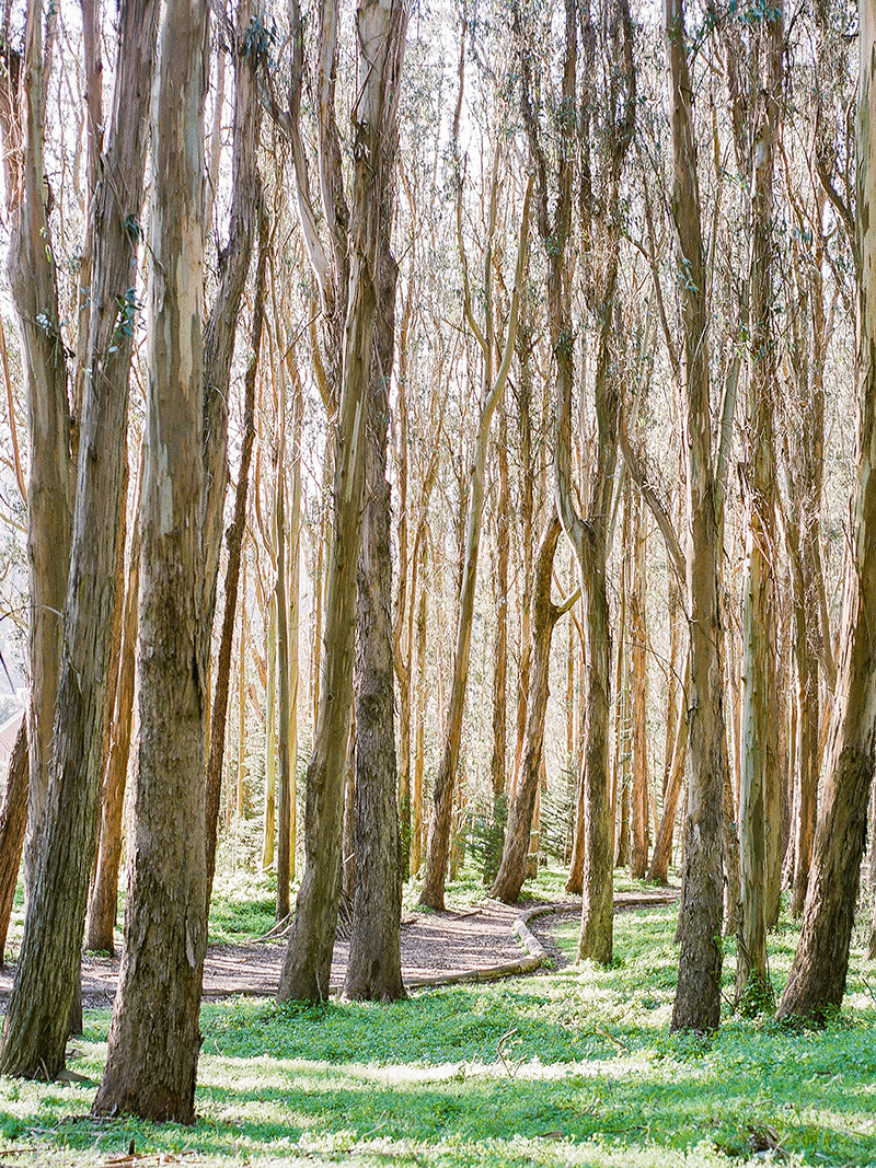 marin headlands engagement_0002