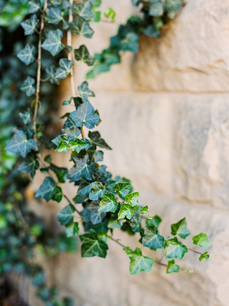 stanford university wedding_0005