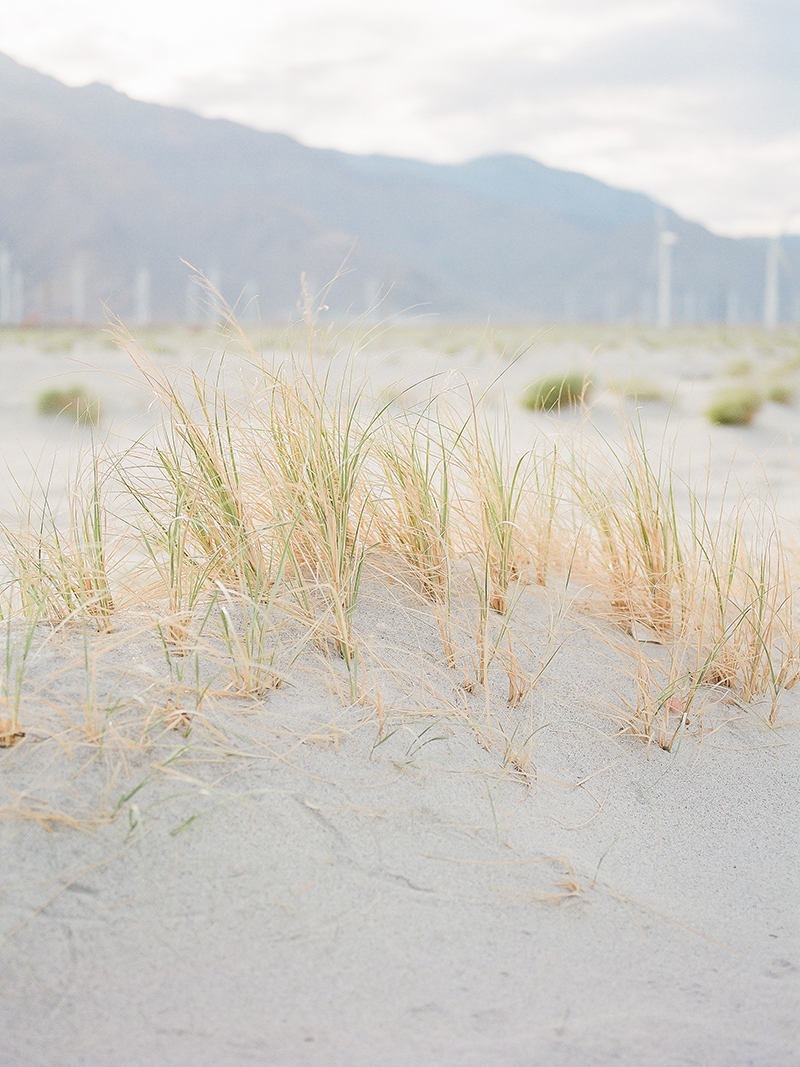 the parker palm springs wedding editorial_0003