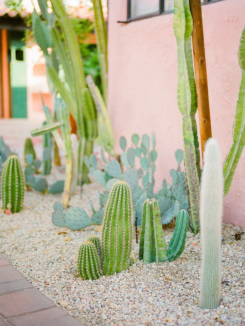 the parker palm springs wedding editorial_0010