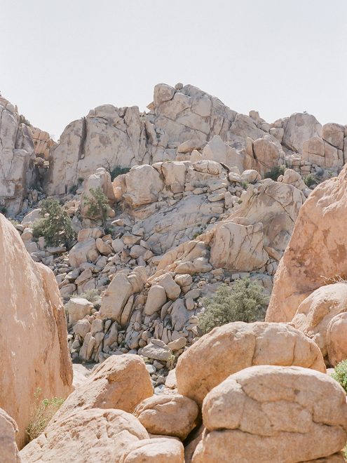 joshua tree engagement_0002