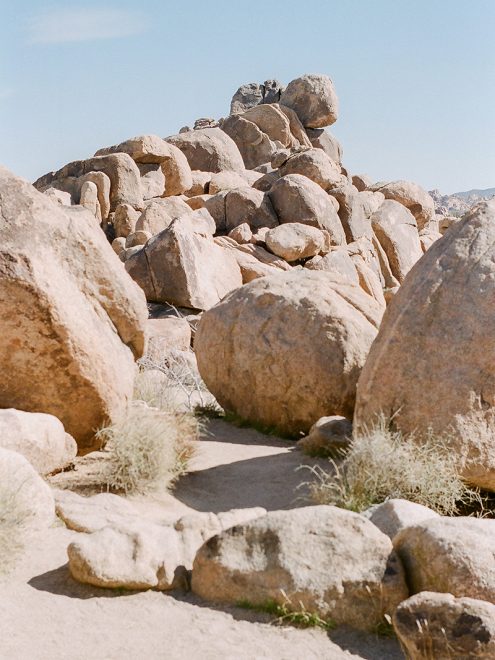 joshua tree engagement_0007