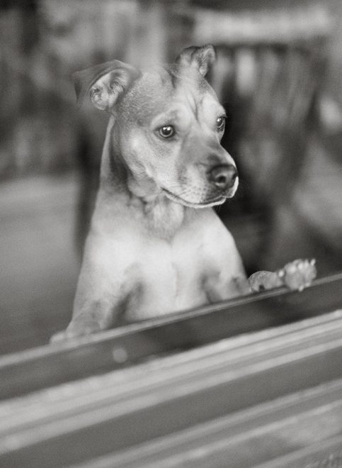 malibu hills engagement_0042