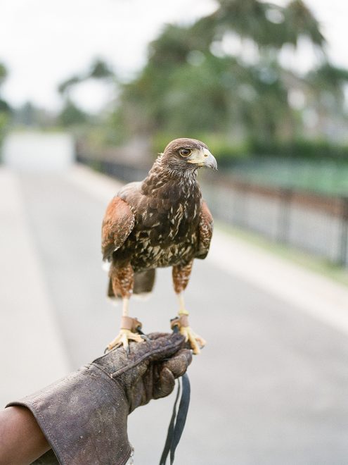 rosewood miramar wedding_0008