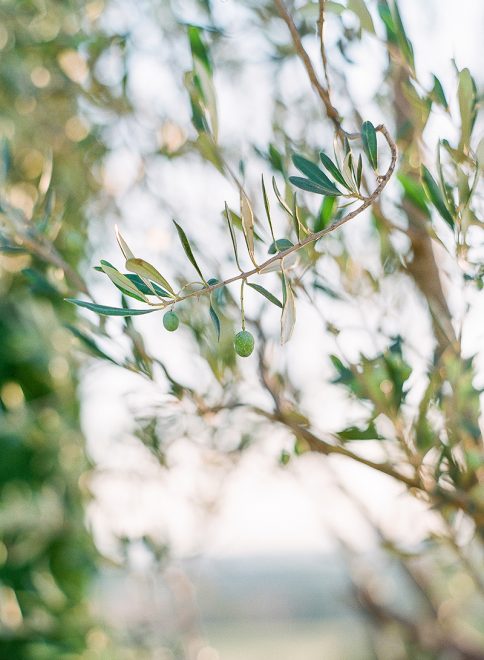 tuscany wedding_0072